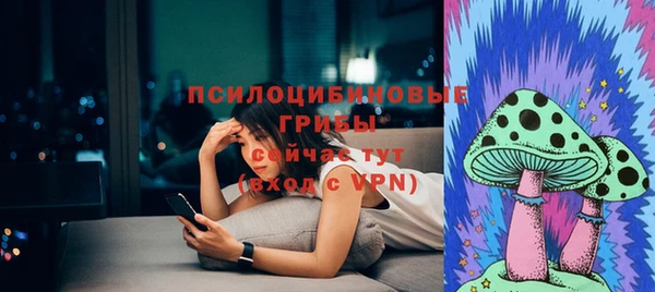 спайс Богородск