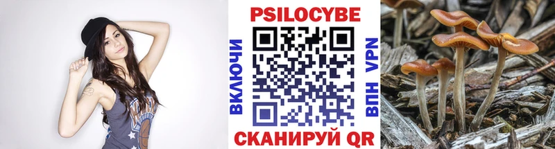 Галлюциногенные грибы MAGIC MUSHROOMS  Мичуринск 